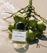 Product image of byredo alto astral 50 ml edp unisex perfume - Image 3