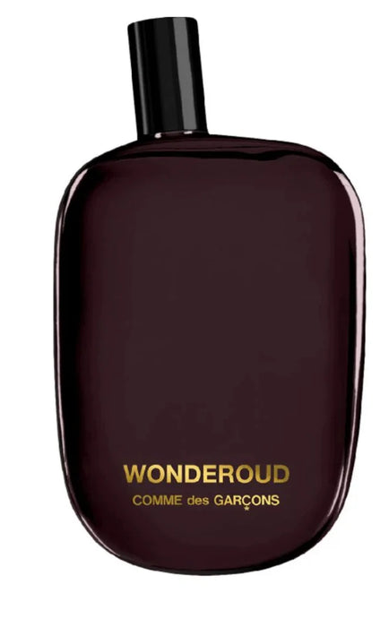 Comme Des Garcons Wonderoud 100 ml EDP Unisex Perfume
