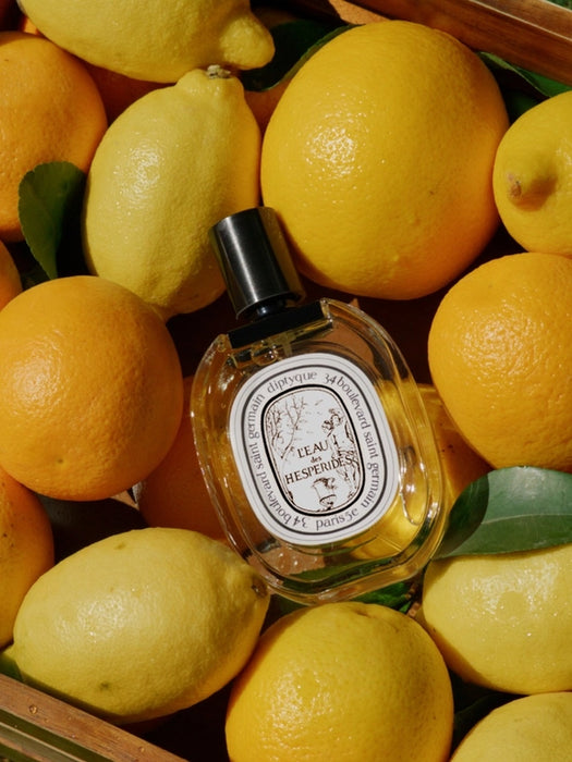 Product image of diptyque leau des hesperides 100 ml edt unisex perfume - Image 3