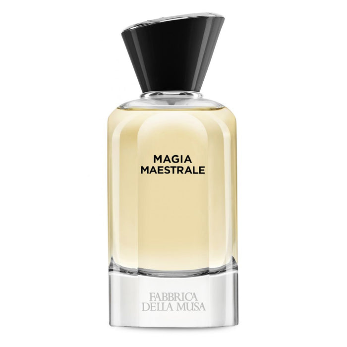 Fabbrica Della Musa Magia Maestrale 100 ml EDP Men Perfume