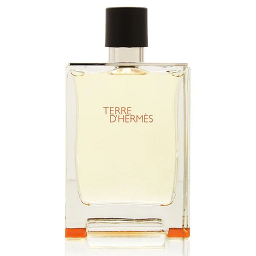  Hermes Terre 