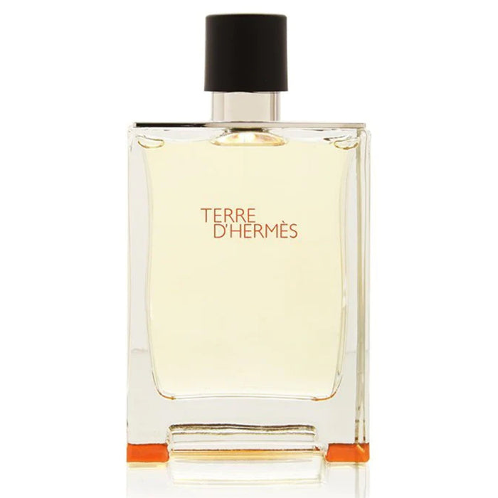  Hermes Terre 