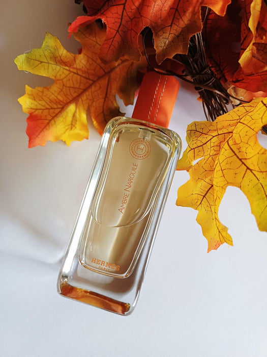 Hermes Ambre Narguile 100 ml EDT Unisex Perfume