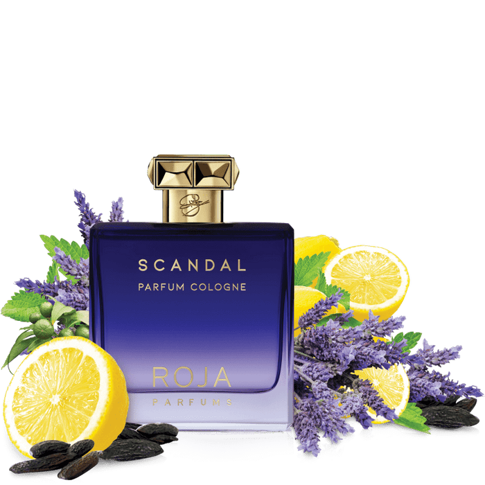 Roja Parfums Scandal Pour Homme Parfum Cologne 100 ml EDC Men Perfume